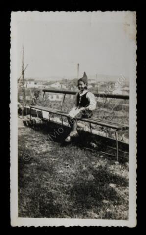 Original Digitaal object not accessible