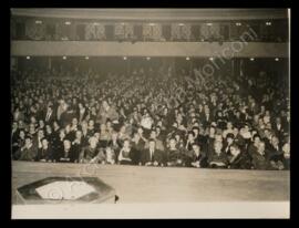 La bisbetica domata. Il pubblico