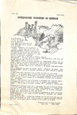 "Operazione tacchino di Natale"