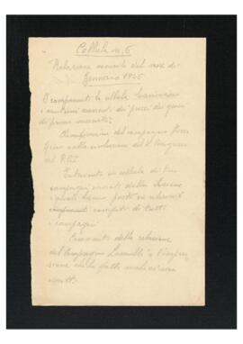 "Cellula numero 6. Relazione mensile del mese di gennaio"