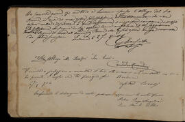 Pagina 11